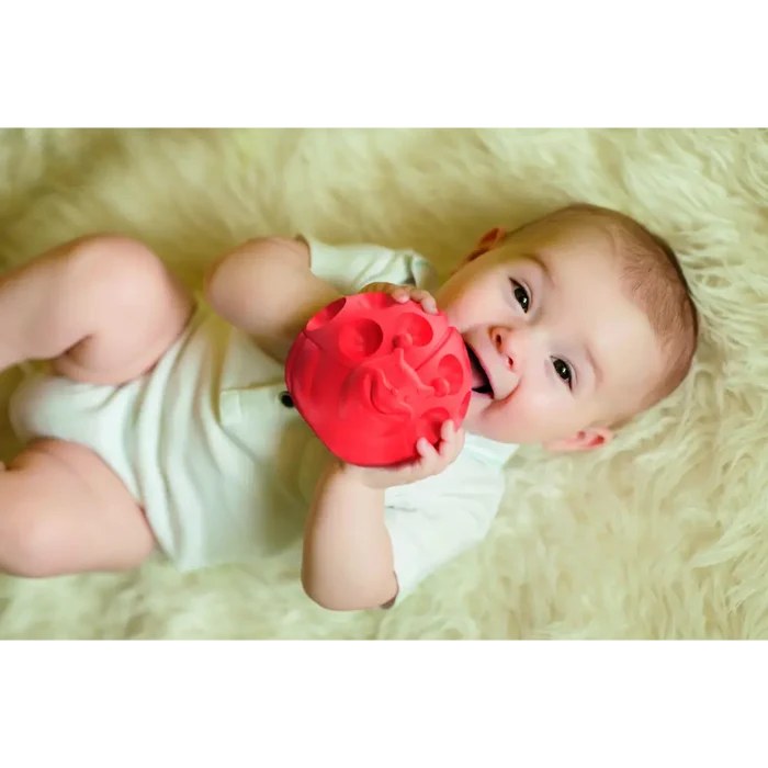 Clementoni Baby Animal Sensory Balls