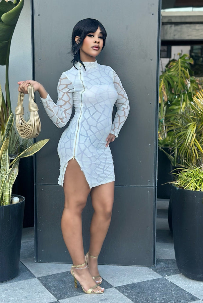 Desired....Long Sleeve Zip Up Side Mini Dress