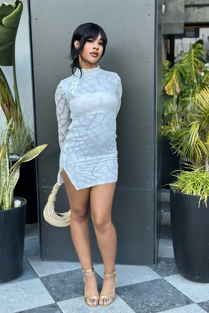 Desired....Long Sleeve Zip Up Side Mini Dress