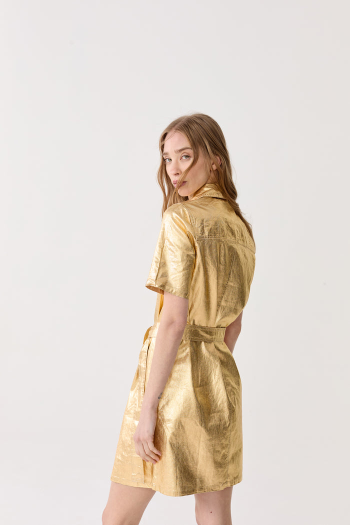 Franca Metallic Linen Dress - Gold