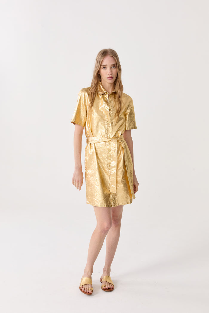 Franca Metallic Linen Dress - Gold