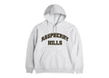 GV Gallery Raspberry Hills OG Hoodie Grey