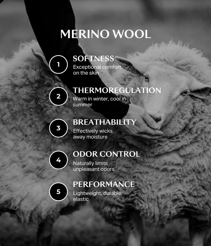 Merinos shirt | technology | sheep | Horse Pilot