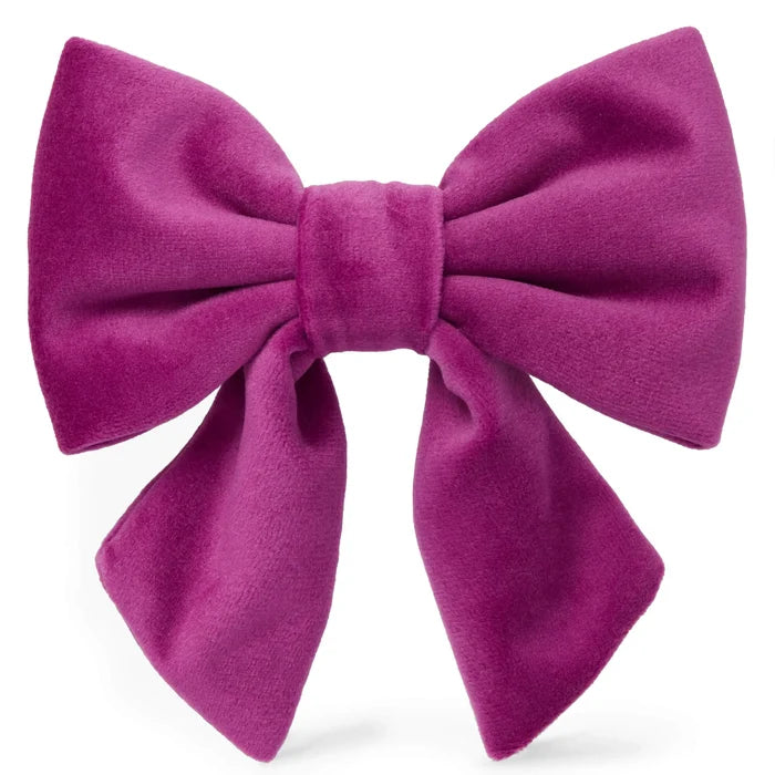Plum Velvet Dog Bow - Giftware - The Foggy Dog